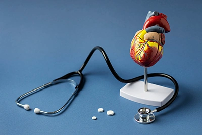 Cardiovascular Health